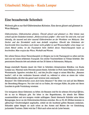 Glühwürmchen, Glühwürmchen