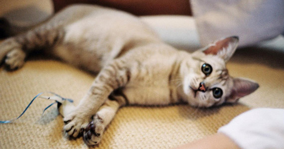 Nach dem ersten Bad kam ein ansehnliches Kerlchen heraus.