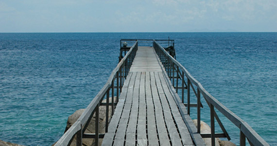 Der selbstgebaute Steeg