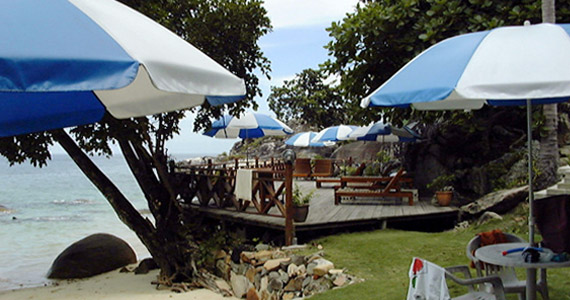 It’s Tea Time – Tonis angelegter englischer Rasen