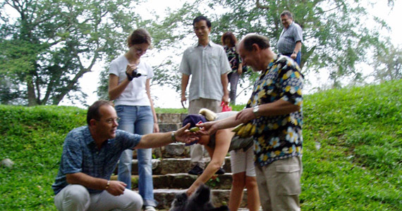 In Null-komma-nix hängen sich die kleinen Makaken an Hemd und Hose …